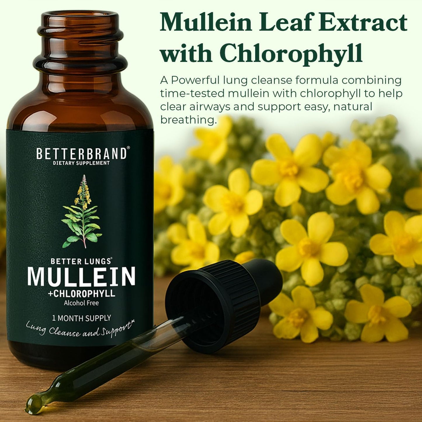 Lung Detox – Mullein & Chlorophyll