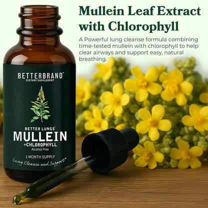 Lung Detox – Mullein & Chlorophyll